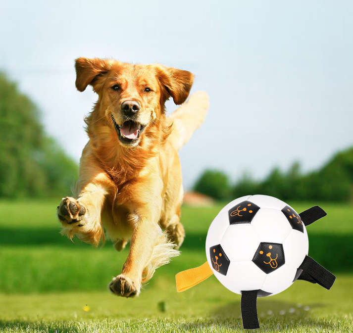 Bola de Futebol para Cachorros