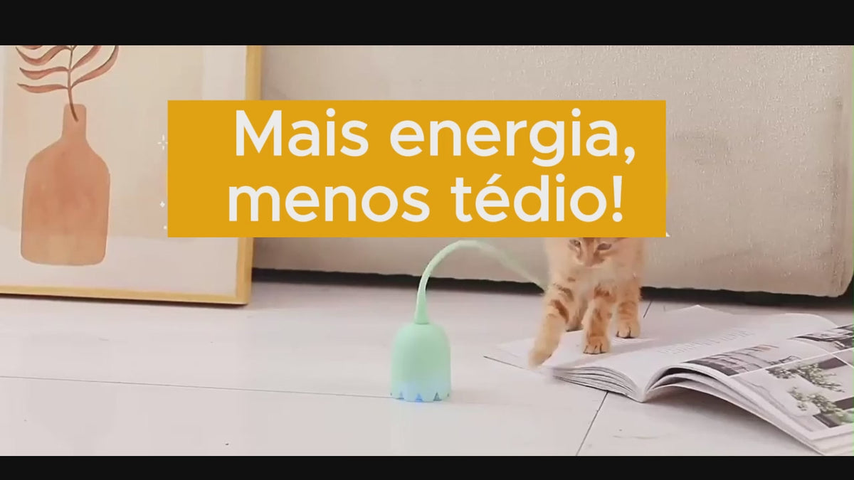 Brinquedos interativos para Gatos